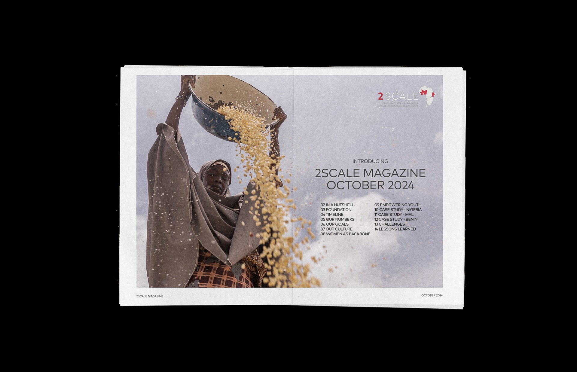2scale magazine